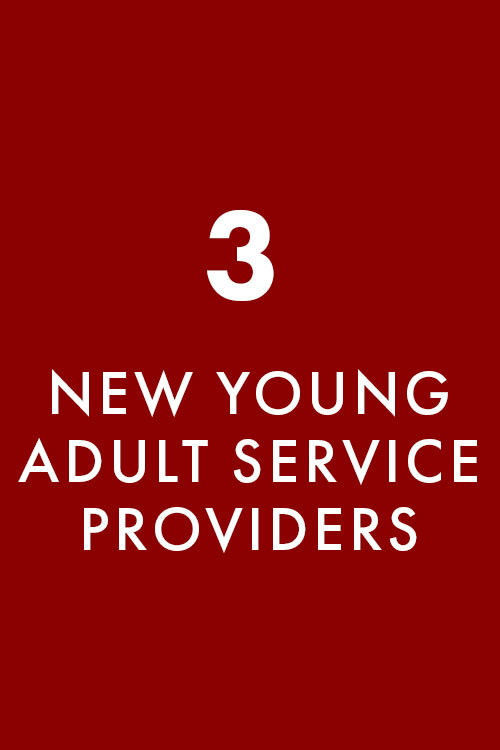 3 new young adult service providers